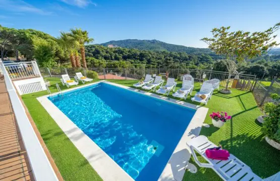 original 47468996 1116398722.jpg