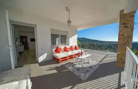 original 47468996 1116400012.jpg