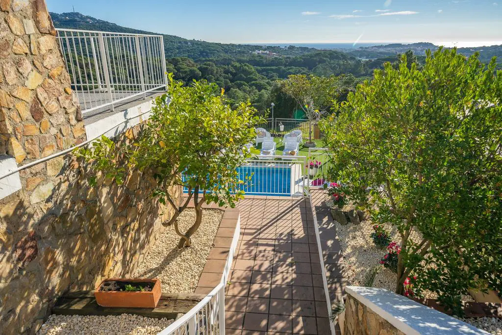 original 47468996 1116400253.jpg