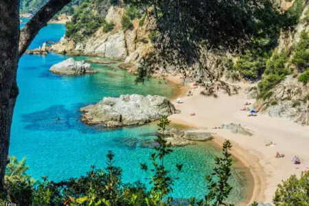 original 47468996 1116400985.jpg