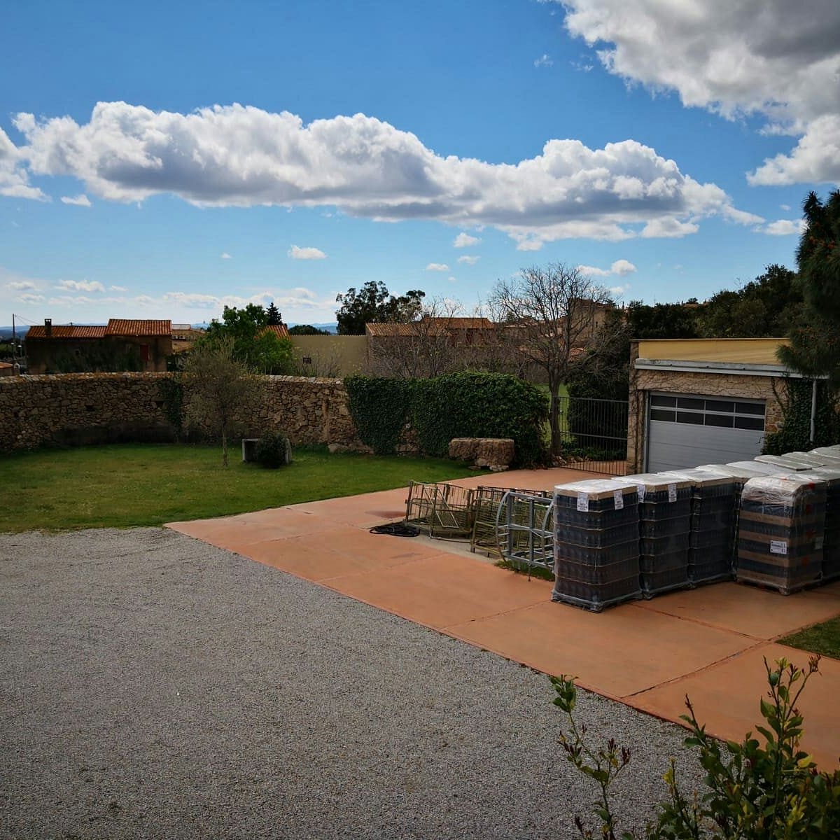 celler vinyes dels aspres