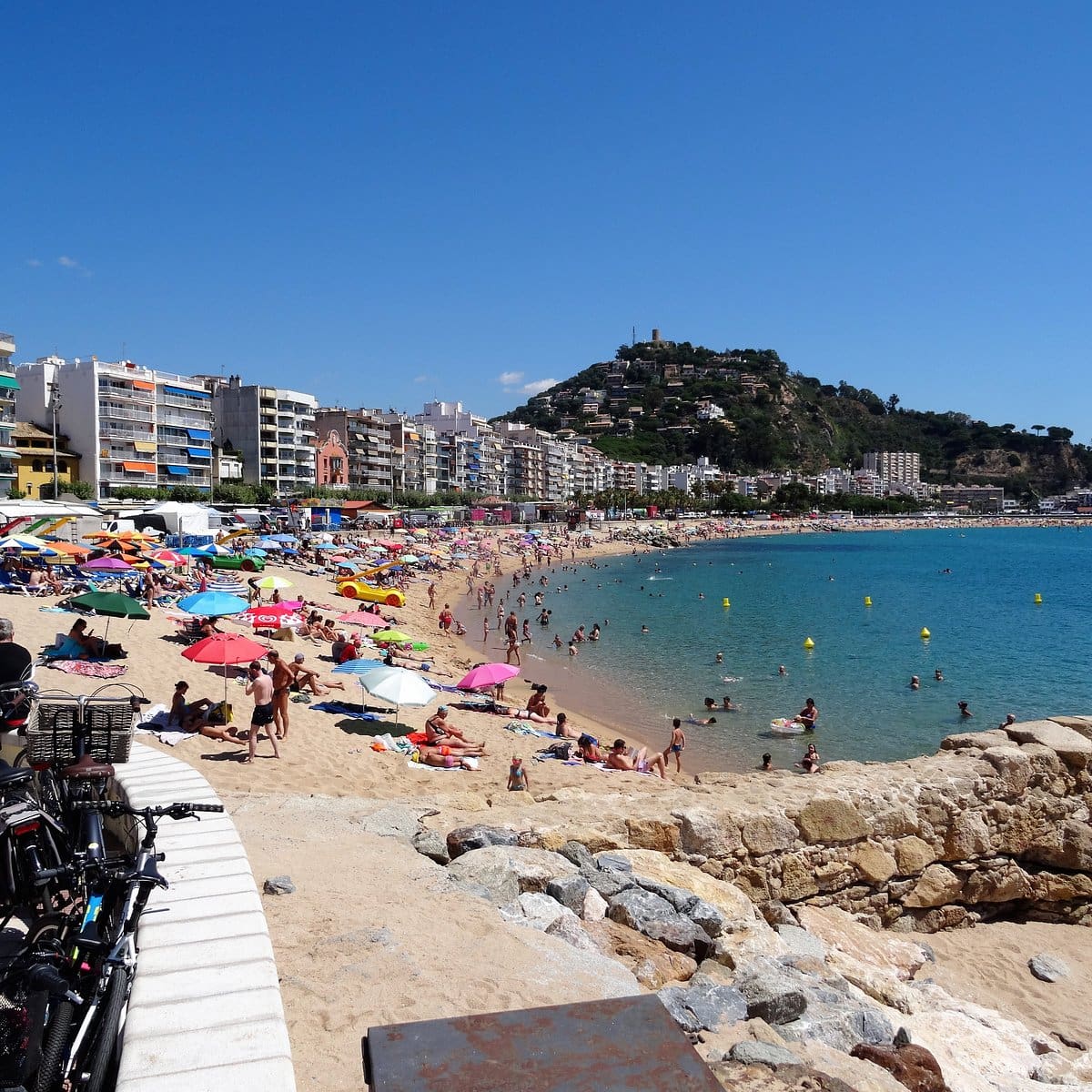 looking north along beach