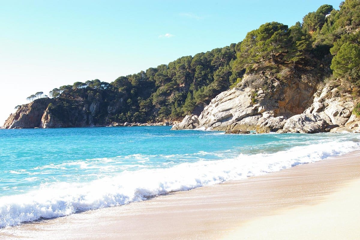 playa santa maria de